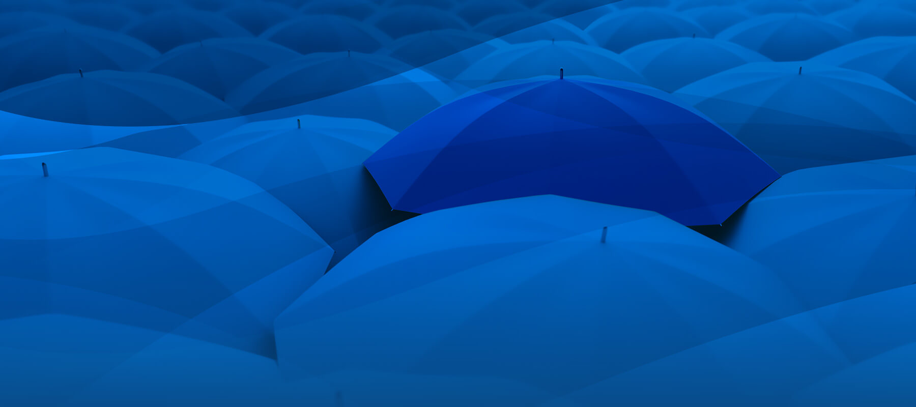 A Collection of umbrellas