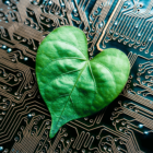 Image: leaf shaped like a heart