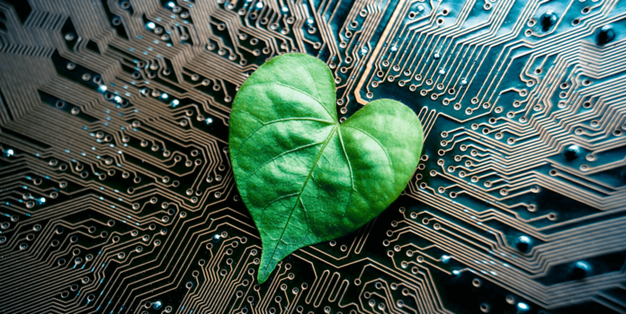 Myth Vs. Fact – Will Going Paperless Save the Environment? leaf shaped like a heart