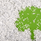 Image: shreds of paper forming a tree shape