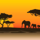 silhouette of an African savanna