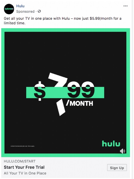 Screenshot of a Hulu Sponsored Ad.