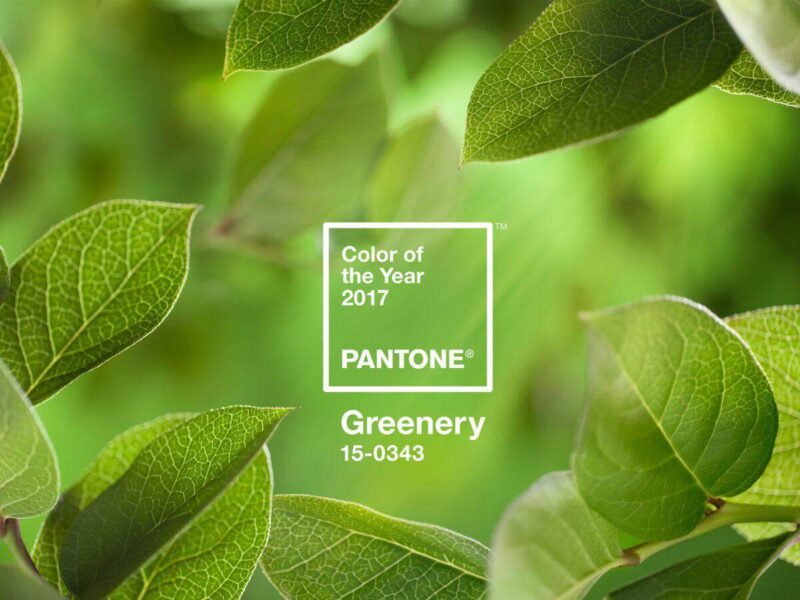 Pantone color of the year 2017 Greenery