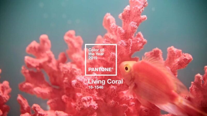 pantone color the year 2019 living coral