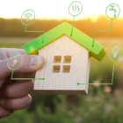 Person holding a wooden house.